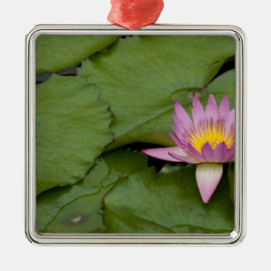 China, Hong Kong, New Territories. Chi Lin Metal Tree Decoration