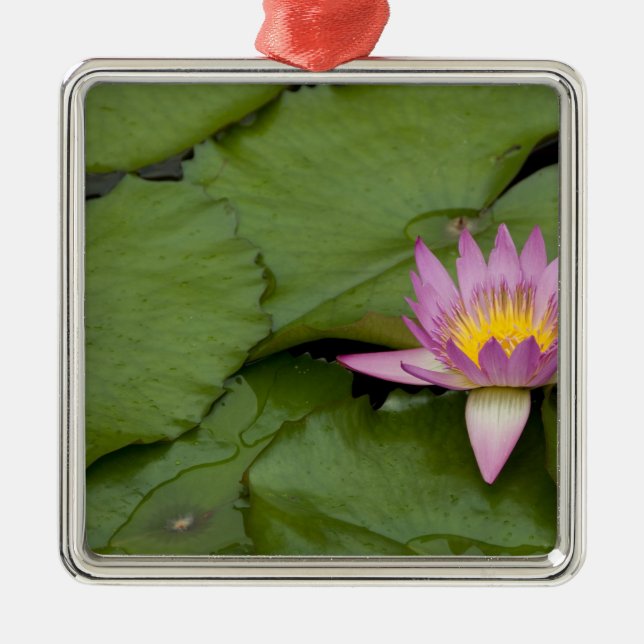 China, Hong Kong, New Territories. Chi Lin Metal Tree Decoration (Front)