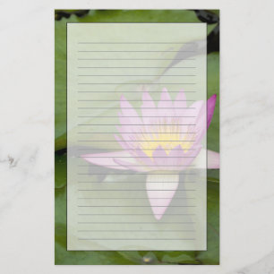 China, Hong Kong, New Territories. Chi Lin Stationery