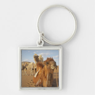 China, Inner Mongolia, Badain Jaran Desert 2 Key Ring