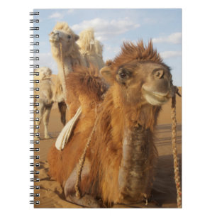China, Inner Mongolia, Badain Jaran Desert 2 Notebook