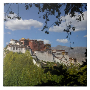 China, Tibet, Lhasa, Potala Palace Tile