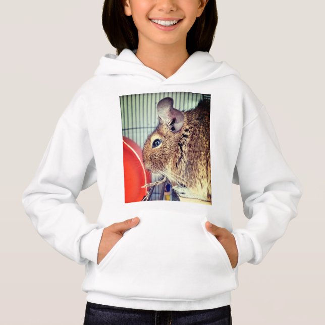 Chinchilla  (Front)