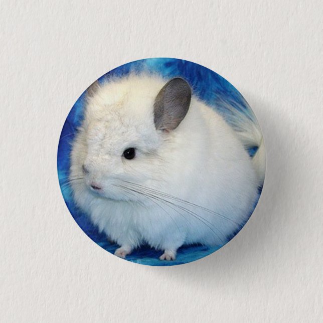 chinchilla 3 cm round badge (Front)