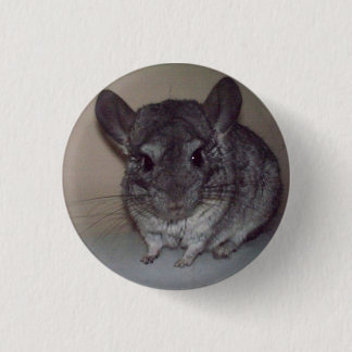 Chinchilla 3 Cm Round Badge
