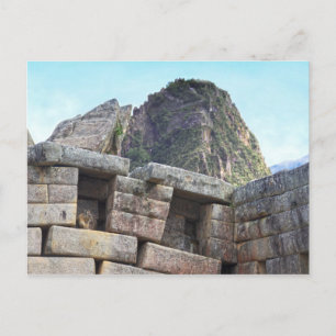 Chinchilla at Machu Picchu, Peru Postcard