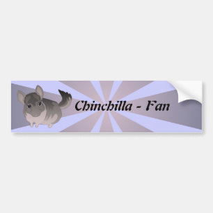 Chinchilla Bumper Sticker