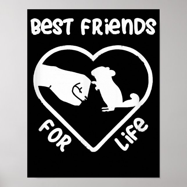 Chinchilla Gift Cute Chinchillas Gift Poster (Front)