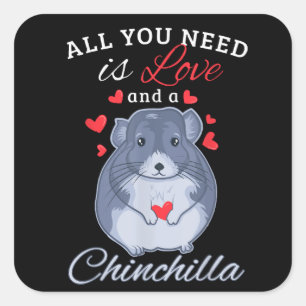 Chinchilla Gift Funny Cute Pet Animal Lover Owner Square Sticker