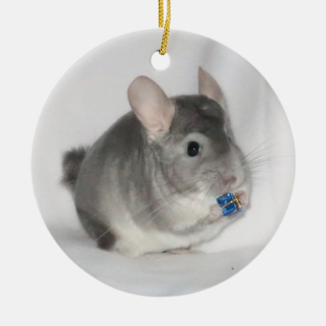Chinchilla holding present ceramic tree decoration (Front)