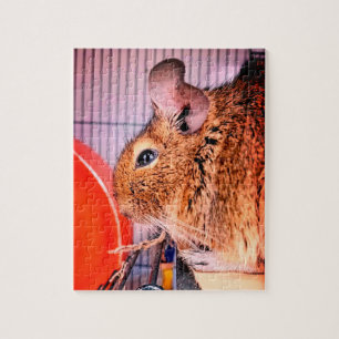 Chinchilla Jigsaw Puzzle