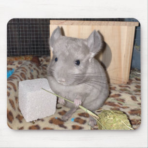 chinchilla mouse mat