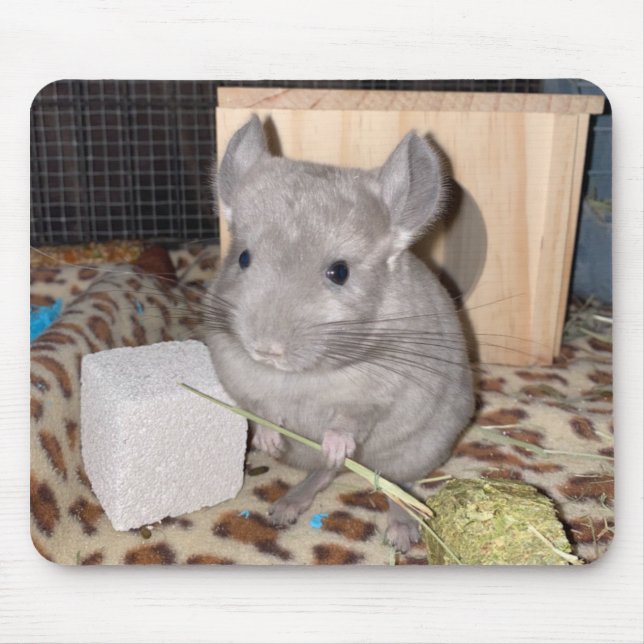 chinchilla mouse mat (Front)