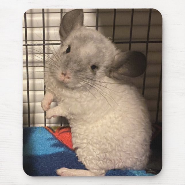 chinchilla mouse mat (Front)