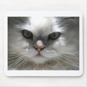 Chinchilla Persian Cat Mouse Mat