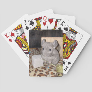 chinchilla playing cards