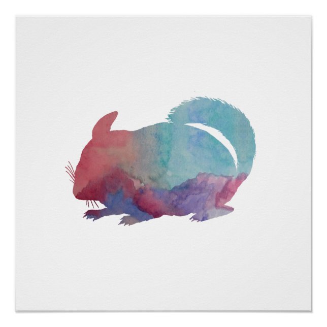 Chinchilla Poster (Front)