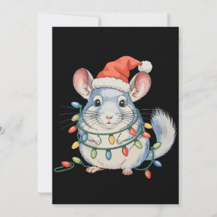 Chinchilla Santa Hat Christmas Xmas Lights Holiday Card