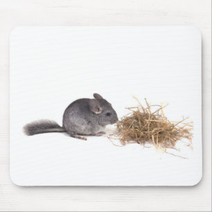 chinchillas mouse mat