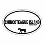 Chincoteague Island. Standing Photo Sculpture<br><div class="desc">Chincoteague Island Virginia.javascript:</div>