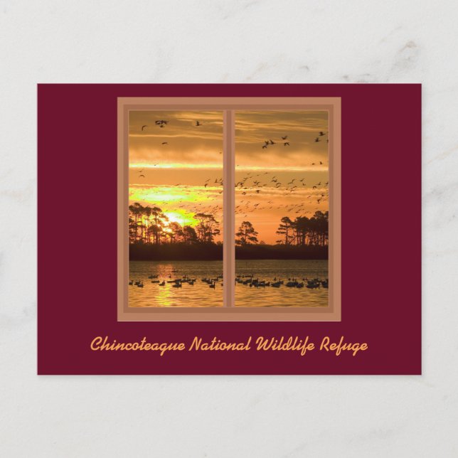 Chincoteague Island Sunset Post Card (Front)