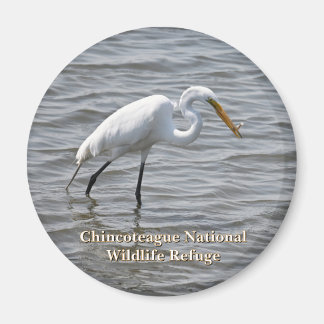 Chincoteague National Wildlife Great Heron Egret Magnet