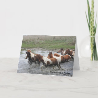 Chincoteague Ponies Greeting Card