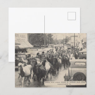 Chincoteague Pony Vintage 1941 Postcard