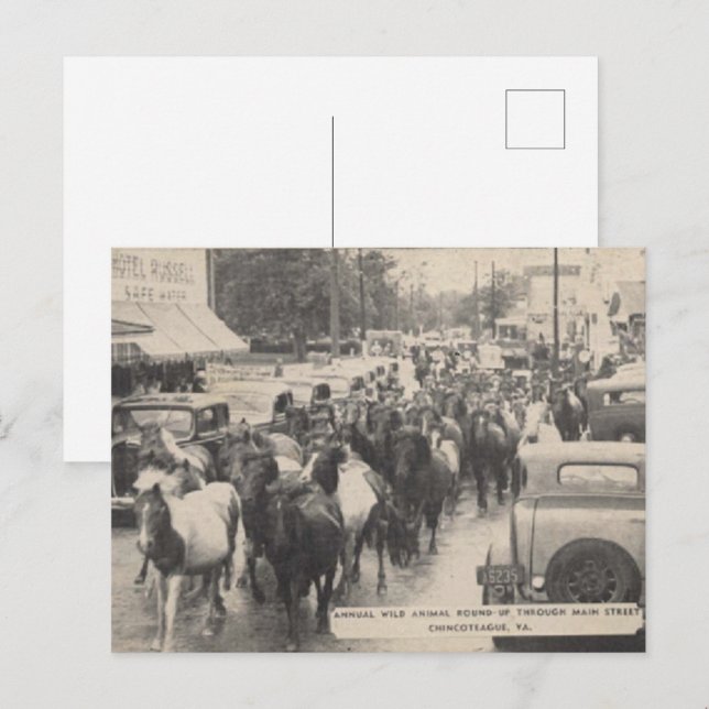 Chincoteague Pony Vintage 1941 Postcard (Front/Back)