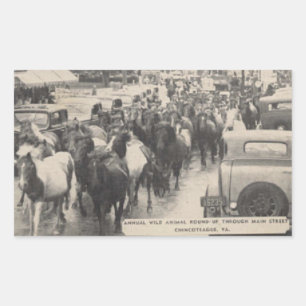 Chincoteague Pony Vintage 1941 Postcard Rectangular Sticker