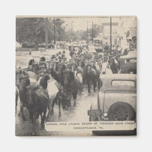 Chincoteague Pony Vintage Horse Postcard Art Magnet