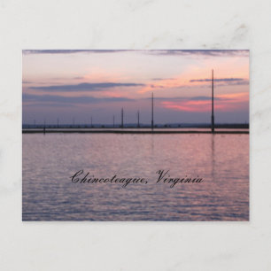 Chincoteague, Virginia Postcard