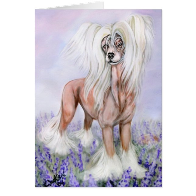 Chine Crested Blue Bonnets (Front)