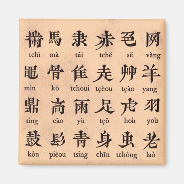 Chinese Alphabet Magnet (Front)