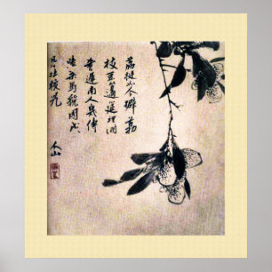 Chinese Ancient Painting, lychee Poster