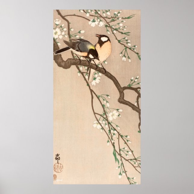 Chinese Asian Bird Chicadee Songbird Poster (Front)