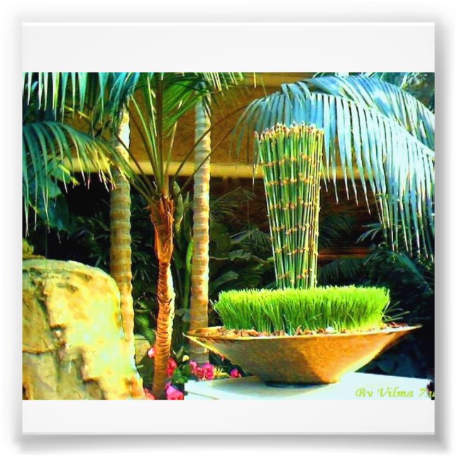 Chinese Bambu Photo Print (Front)