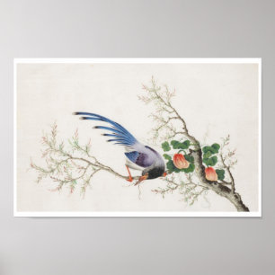 Chinese Bird Painting Poster