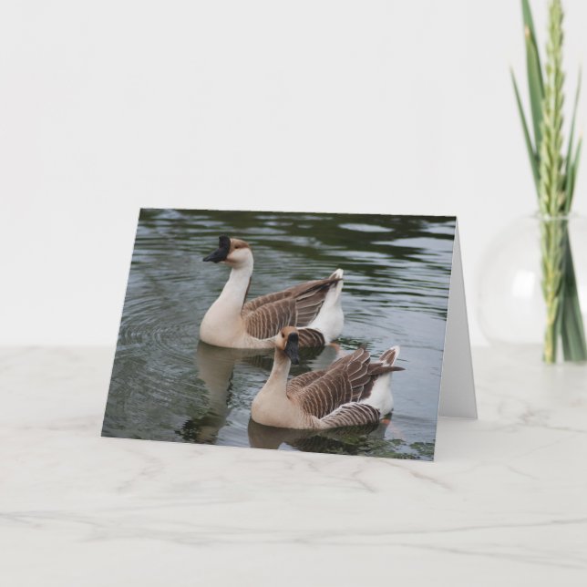 Chinese Brown Geese Greeting Card (Front)