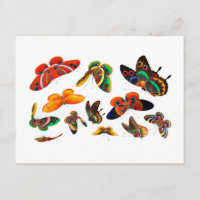 Chinese Butterfly and Insect painting-Qing Dynasty