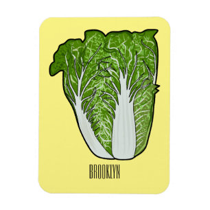 Chinese cabbage cartoon illustration magnet