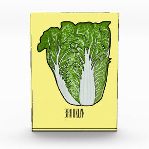 Chinese cabbage cartoon illustration  photo block