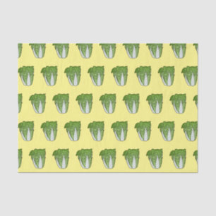 Chinese cabbage cartoon illustration  tissue paper