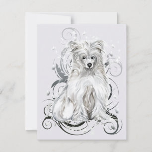 Chinese Crested Blue NB Invitation