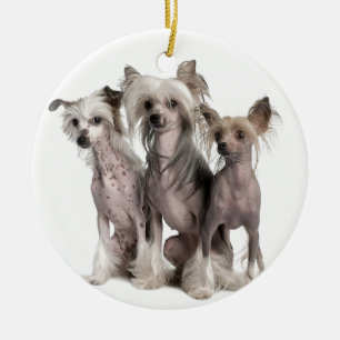 Chinese Crested Ceramic Tree Decoration