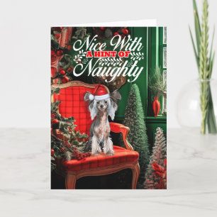 Chinese Crested Christmas Dog Naughty or Nice Holiday Card