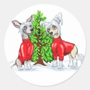 Chinese Crested Christmas Tree Classic Round Sticker