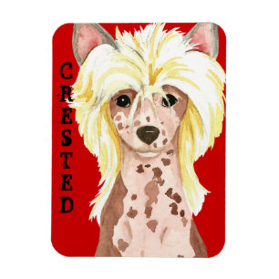Chinese Crested Color Block Magnet