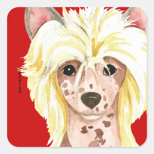 Chinese Crested Colour Block Square Sticker (Front)