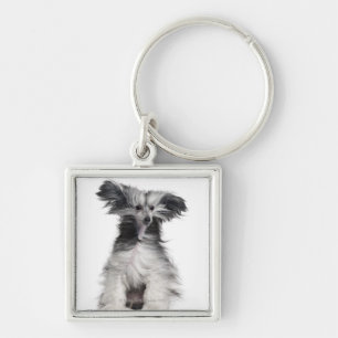 Chinese Crested Dog (15 months old) in the wind Key Ring